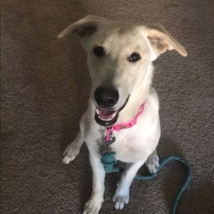 Meet your Posher, Jordan